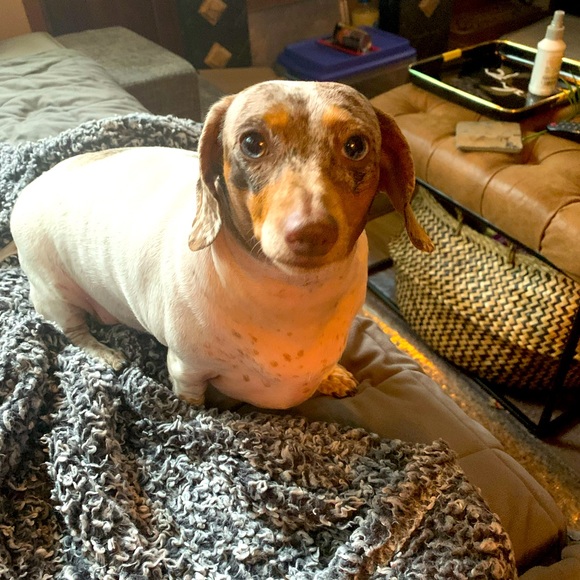 Meet your Posher, Deborah - Picture 14 of 15